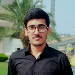 Vice Chairperson Shariq